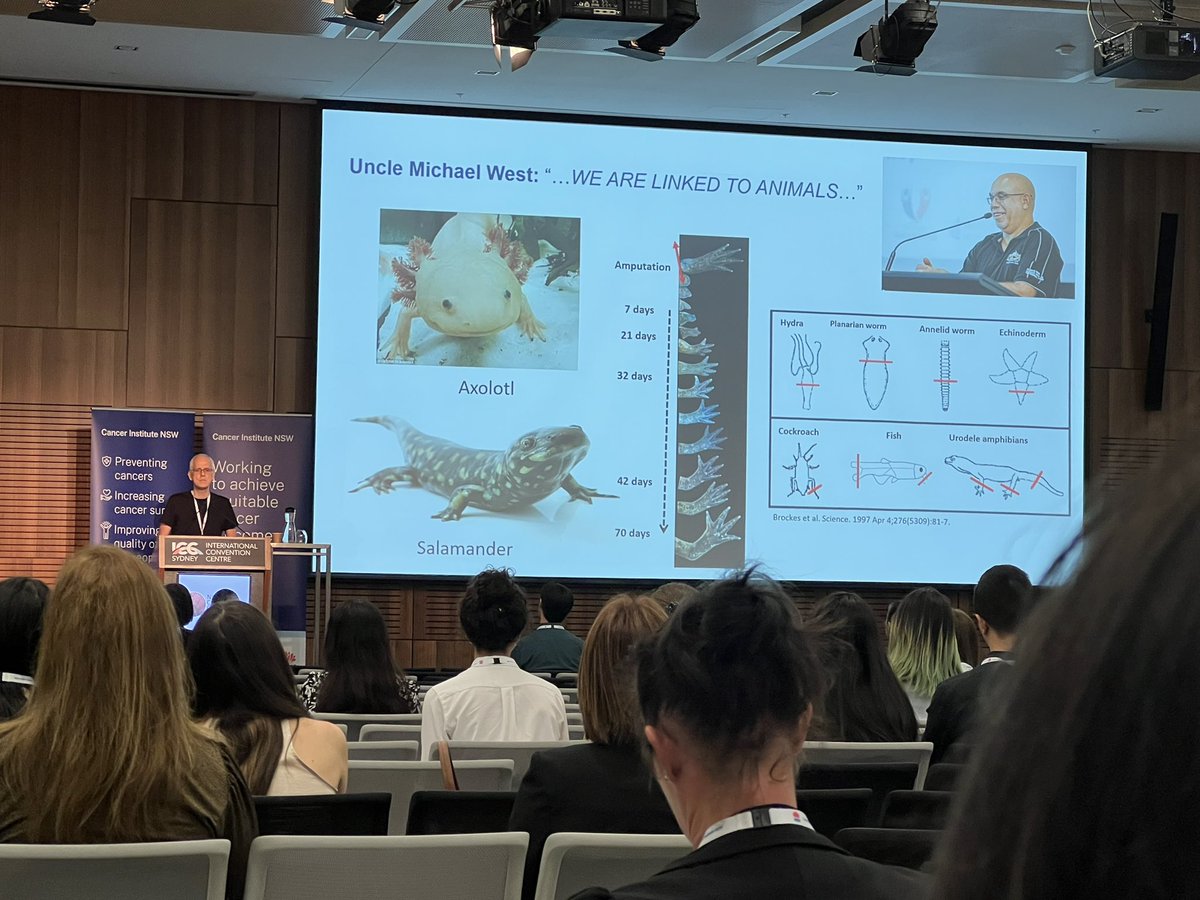 Cancer Neuroscience - interaction between cancer cells and nerves the next frontier for cancer biology. Presentation by Hubert Hondermark #NSWCancerConf23