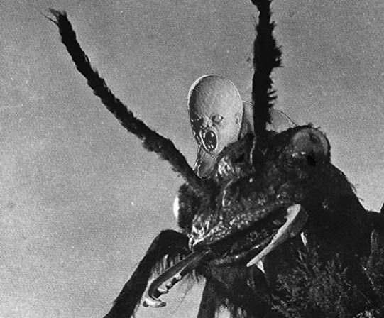 RealZircher's tweet photo. #TCMParty https://t.co/3rkMQdoyVO