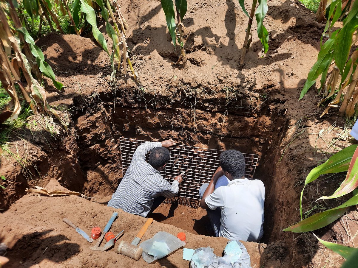 Musefa Redi tweet media