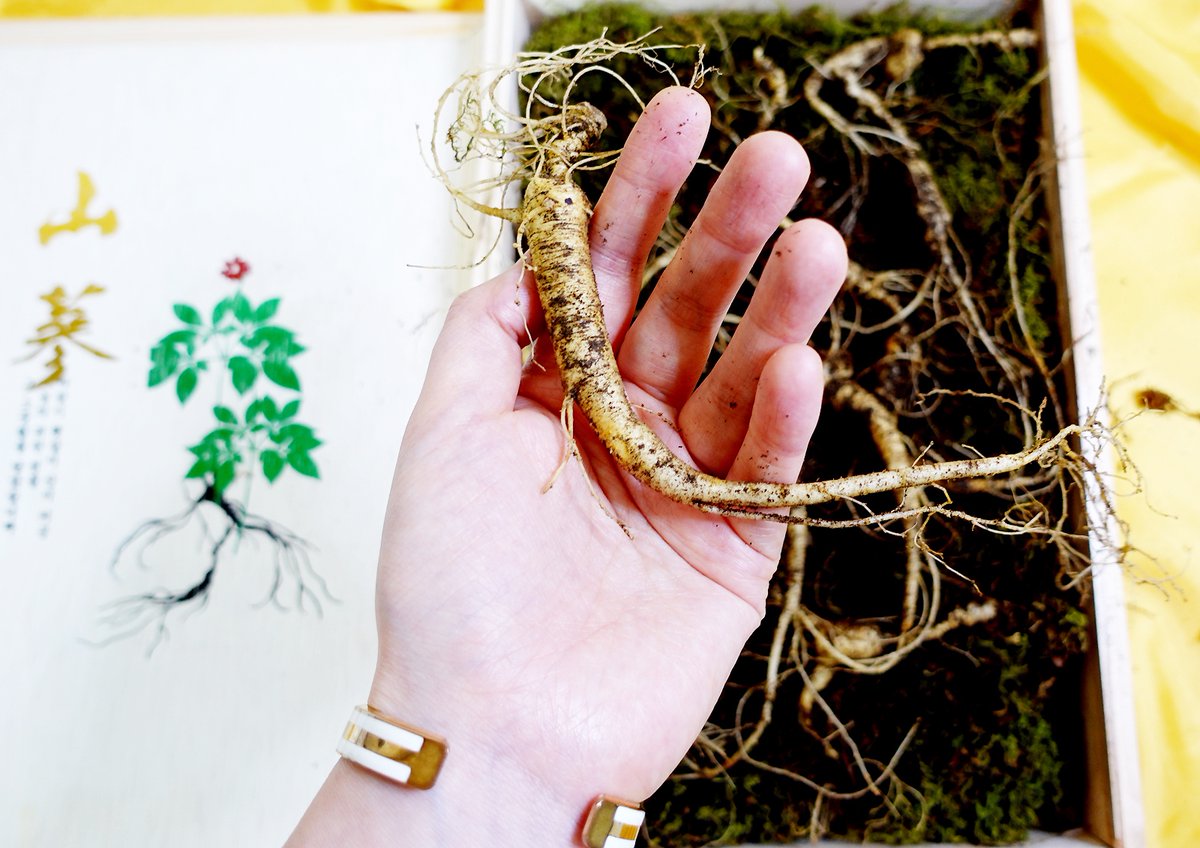 #광고 

 #추석선물 #산양산삼 #부모님선물 로
#유재덕의산양산삼 드림  생방송 투데이, 서민갑부, 6시 내고향 출연 #산양삼  
타사 대비 가격도 30~50% 정도 저렴
+ 유재덕의 산양산삼 : yjdsansam.kr/products/75405…
++ 연락처 : 010-8494-3240