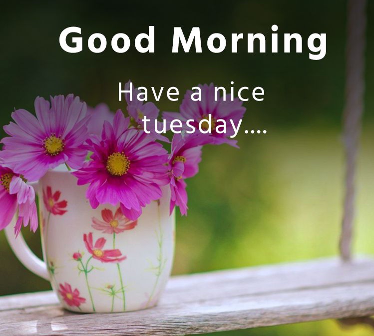 Good morning everyone!🌷🌻🪻

This is an opportunity to thank God for another wonderful day in our life. 

Have a happy and blessed Tuesday!

#KissesDelavin
<a href="/KissesDelavin/">Kisses Delavin</a>
