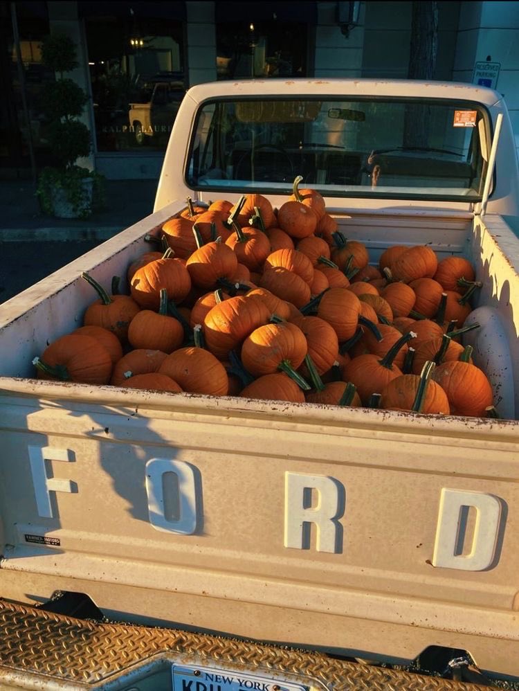 aperfectpumpkin's tweet photo. https://t.co/p4q0nrcVer
