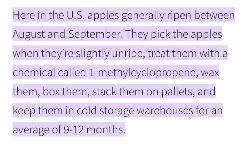 Vincent Van Code tweet media