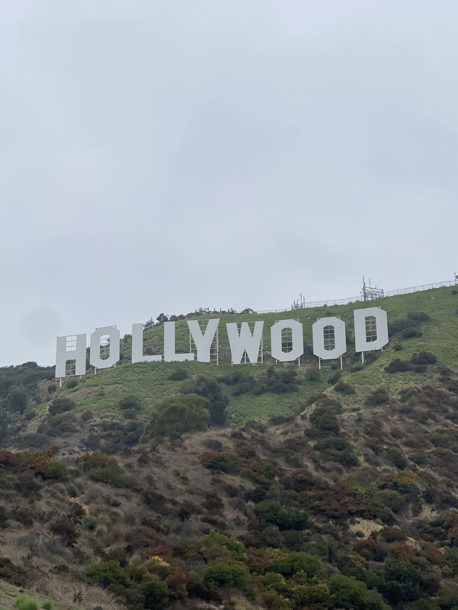 ReveluvBloom143's tweet photo. Hello, Hollywood! https://t.co/8Q1EKA3v04