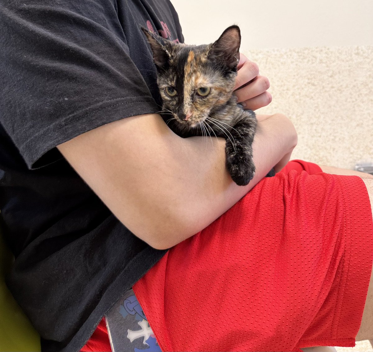 wilsovgh's tweet image. My 🖤