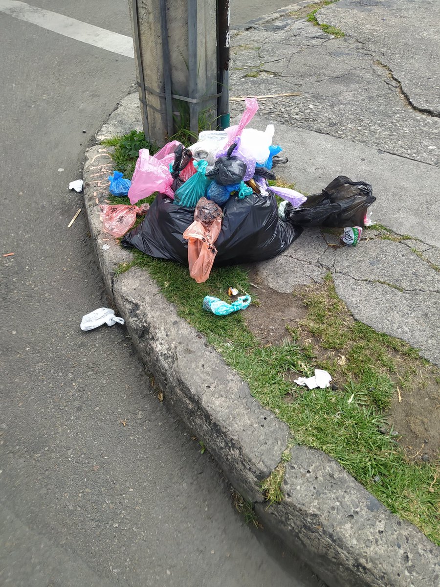 AMZTravel's tweet photo. No tienen hijos pero tienen dos perros que sacan a cagar tres veces al día y depositan las bolsitas de mierda en los andenes, esquinas y parques de Bogotá.

La hipocresía e indolencia de los mascotistas es asqueante 🤮 https://t.co/ICAl7QZfXe