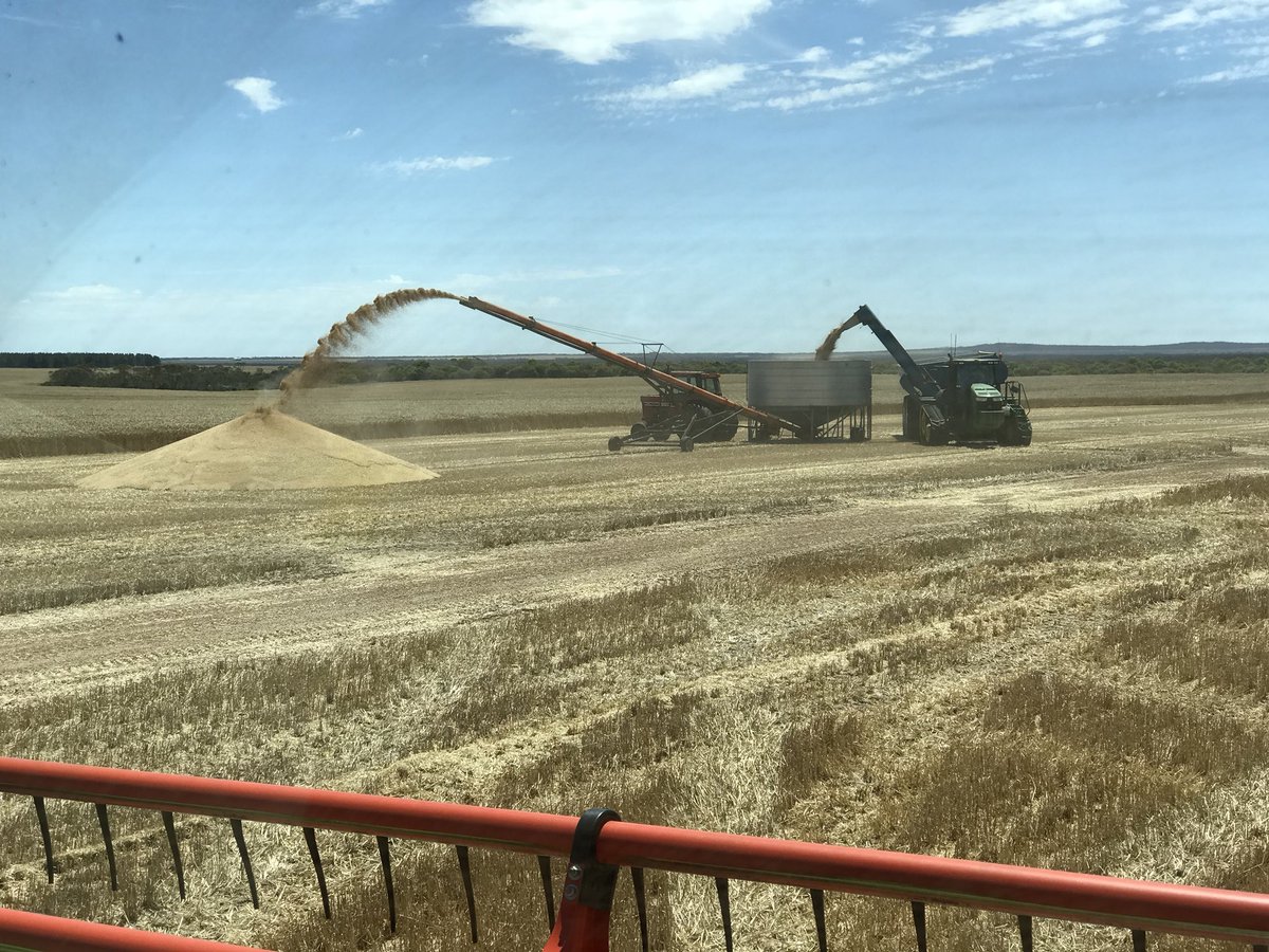 iMc Fels 📲🌾 tweet media