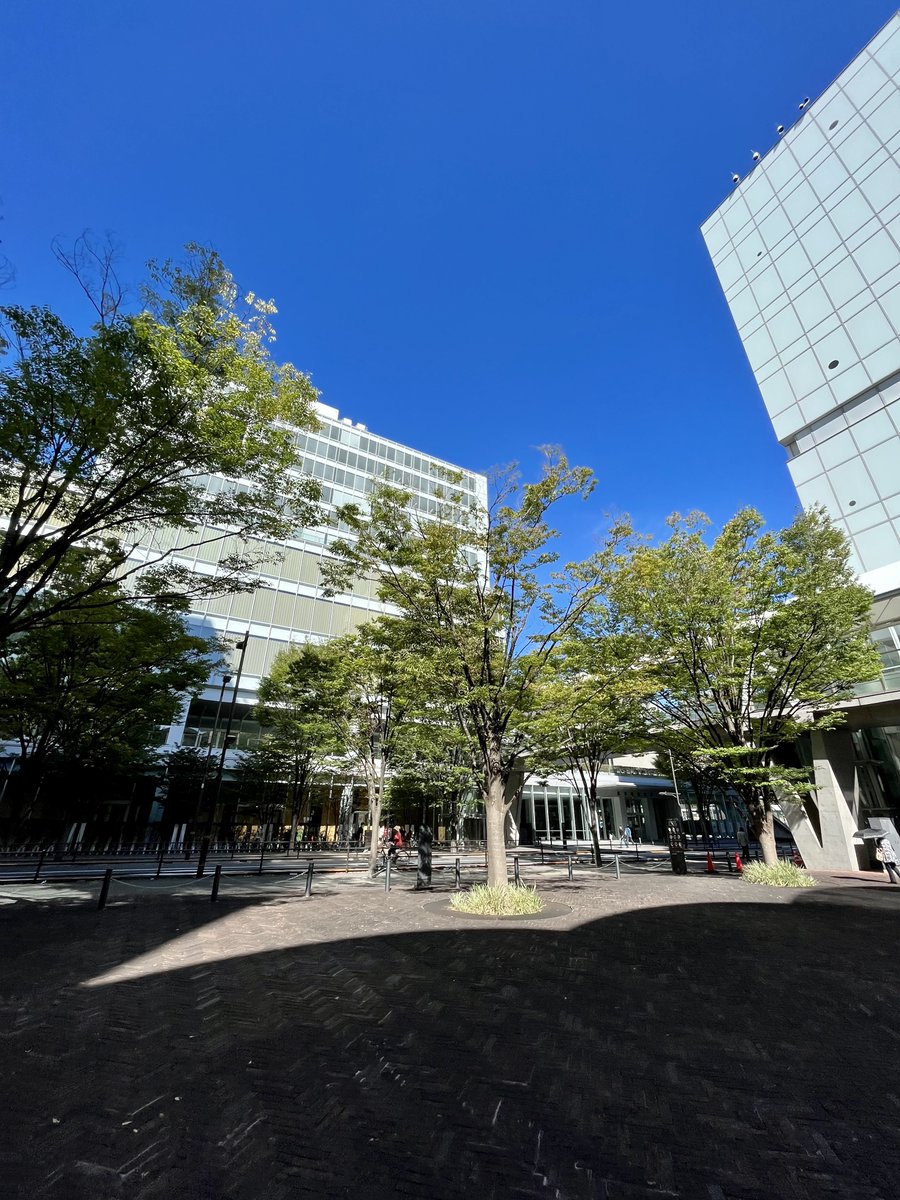 今日から後期が始まりました
残暑がまだ残る中での登校辛いですが、気持ちを切り替えてまずは今週だけでも頑張っていきましょう！！