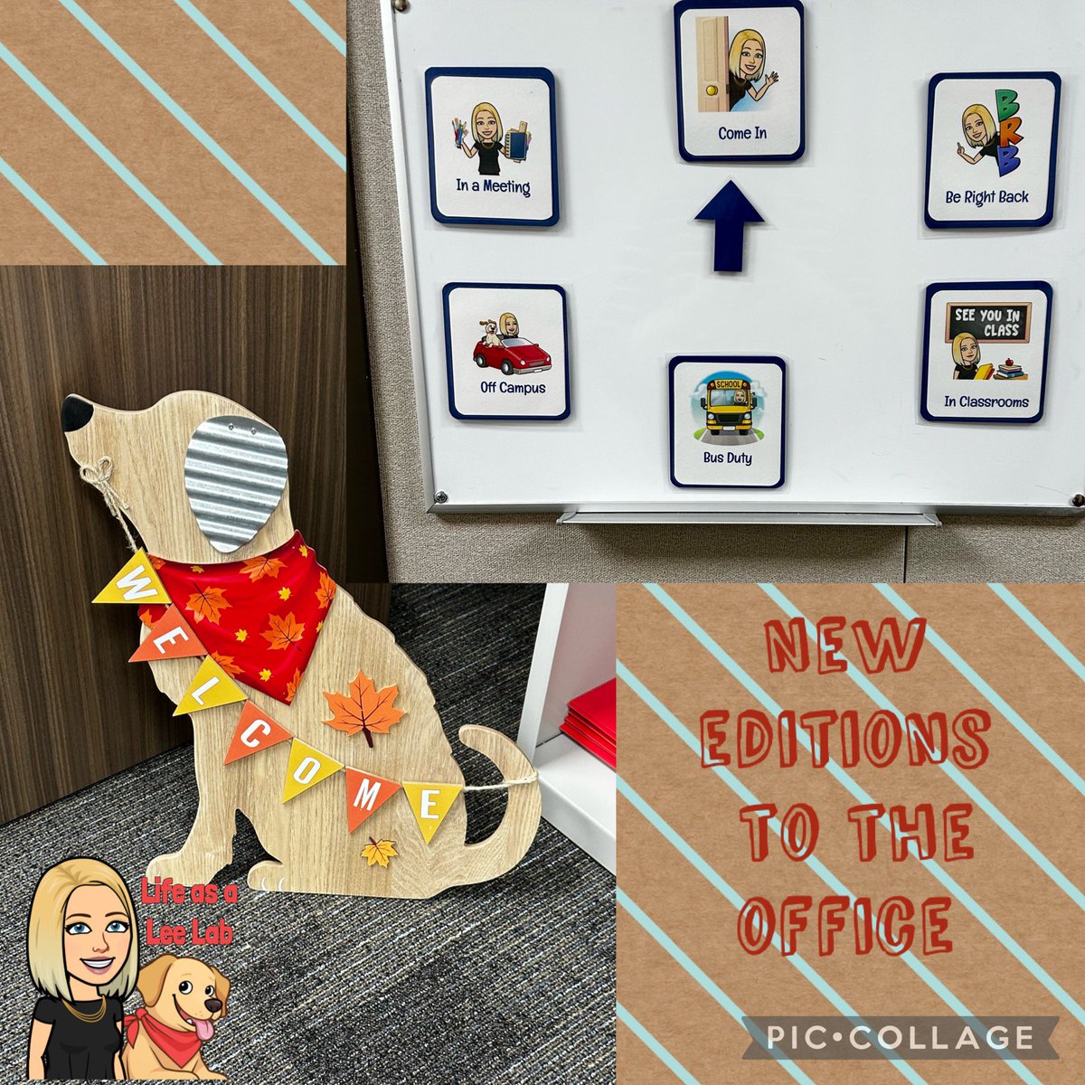EmilieManner's tweet photo. A few new additions to the office-something to help out and something to smile at #Lifeasalab https://t.co/oh13jb2KM8