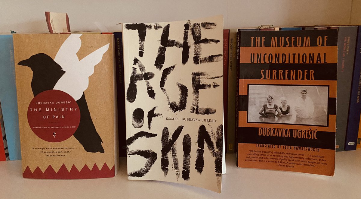 Morow Jävis Kærdenax tweet media