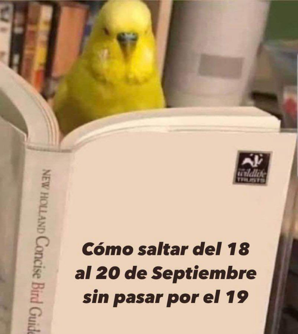porktendencia's tweet photo. #SimulacroNacional2023:
Acuérdense que hoy se duerme con tenis. https://t.co/veMXO8a5PJ