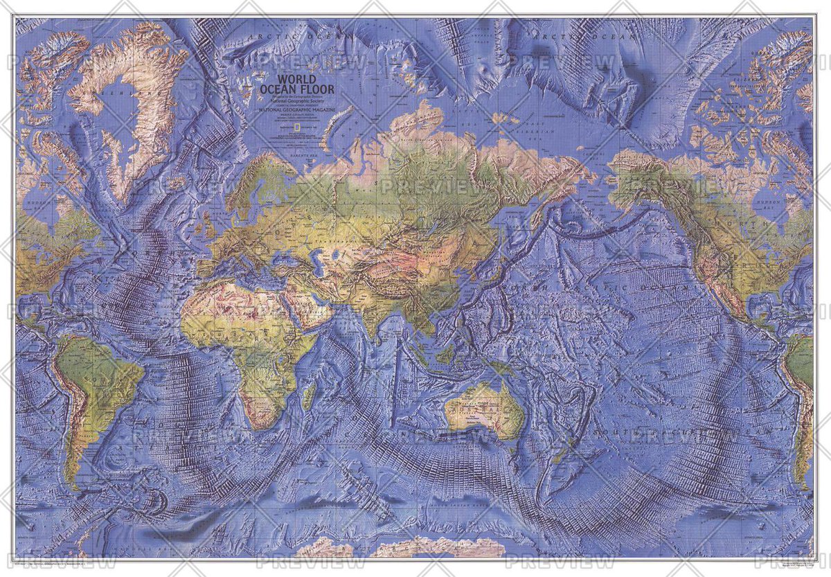 Ethan 🦣 tweet media