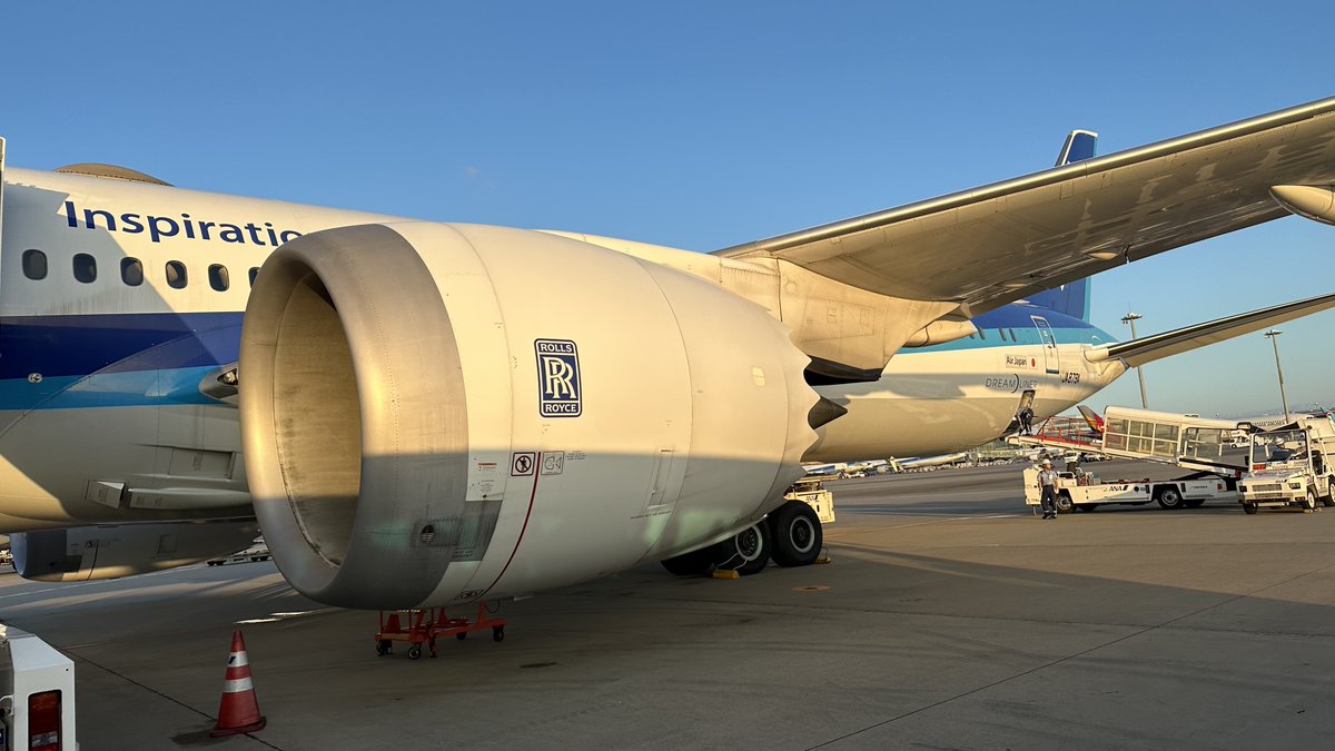 しゅーや / Syuya Mukai tweet media