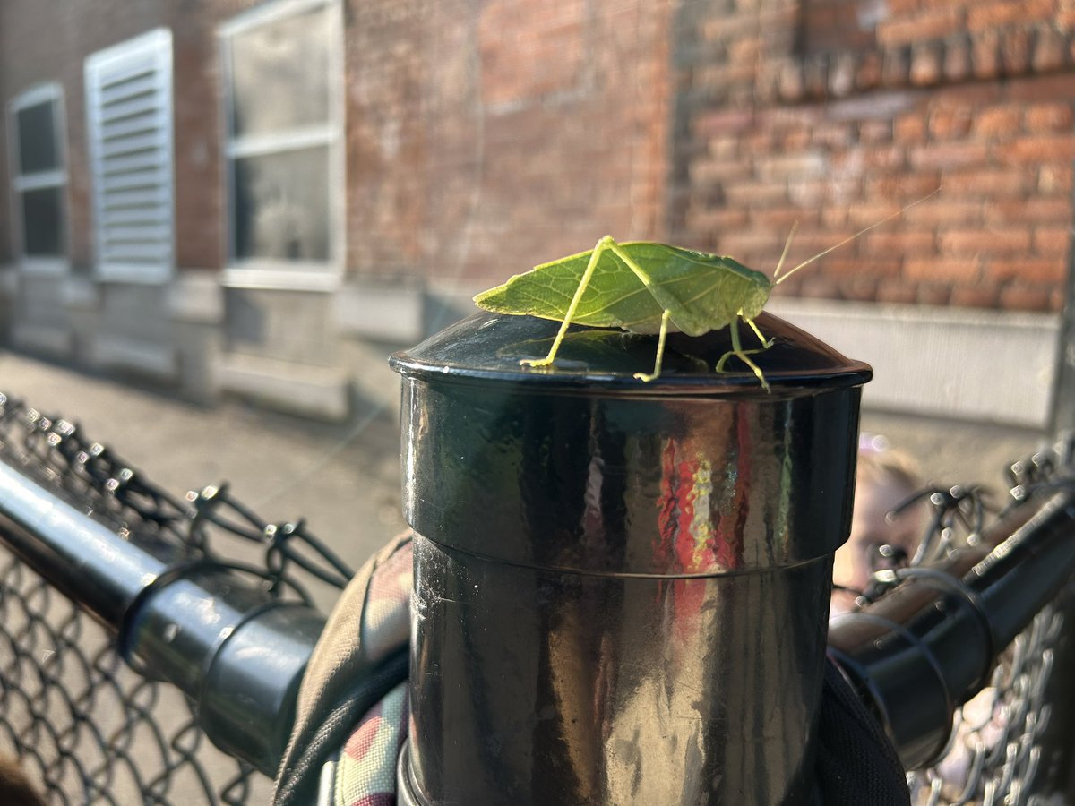 Look at what we found!! Love the learning in FDK @adelaide_hwdsb !! Always something to learn!!