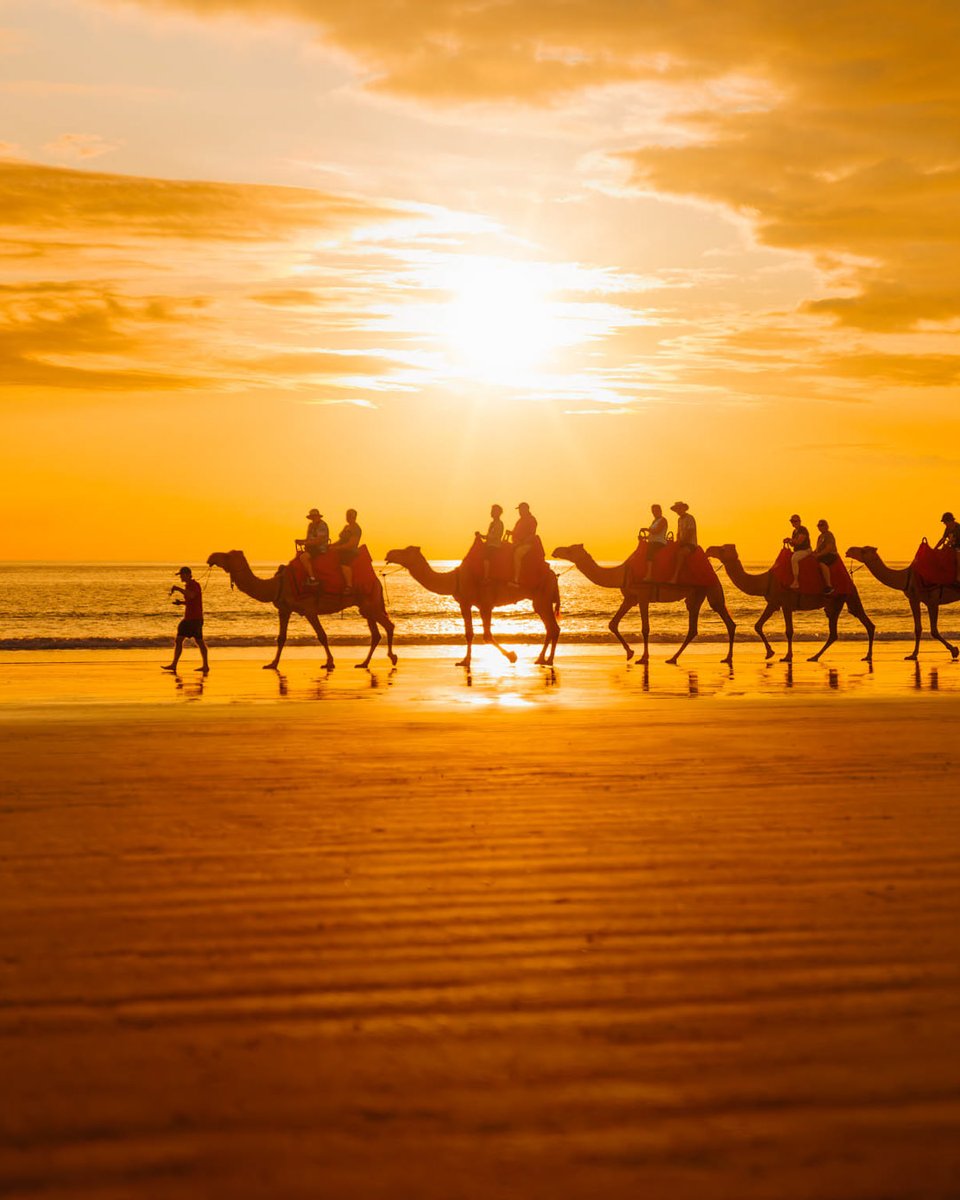 theaguiastudio's tweet photo. Cable Beach sunsets are breathtaking and unique. The colours and setting create an indescribable ambience.
.
.
#wathedreamstate #cablebeach #seeaustralia #comeandsaygday #broome #stockphotos #skyperth
Stock photos from Broome? 😍 Here 👉https://t.co/qiAXGwY1Yq
@WestAustralia https://t.co/kNdbZEvI3E