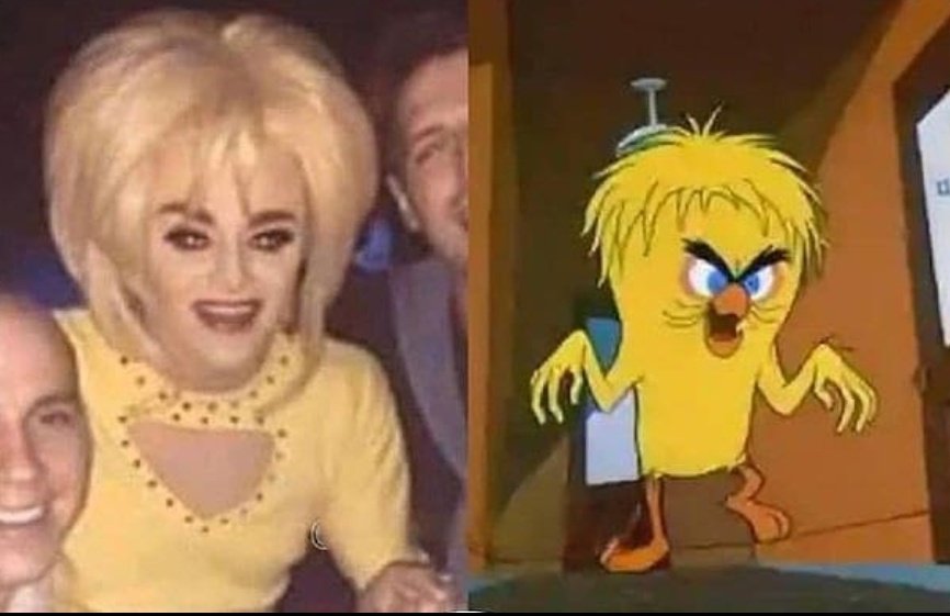 El psicólogo: La señora piolín malvado no existe..

- La señora piolín malvado: