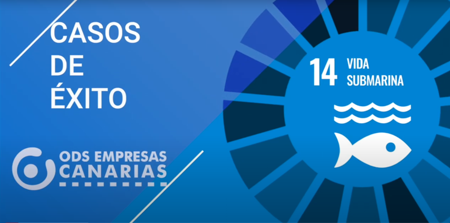Confederación Canaria de Empresarios tweet media