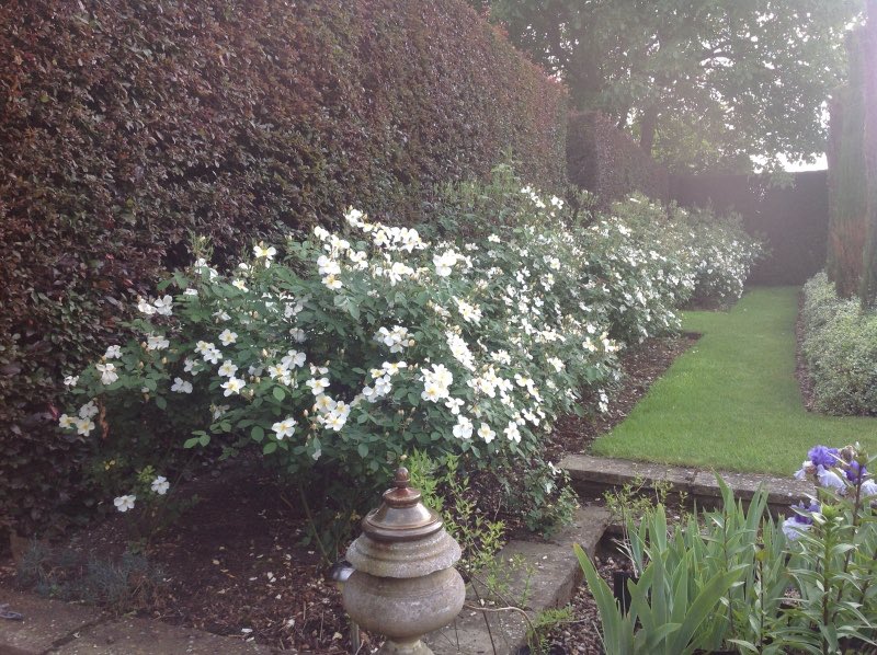 NGS Suffolk tweet media