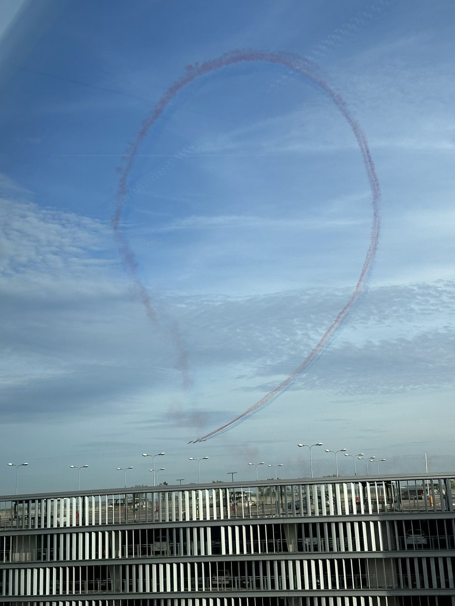 ıuɐpɹoıƃ sɐloɔıu tweet media