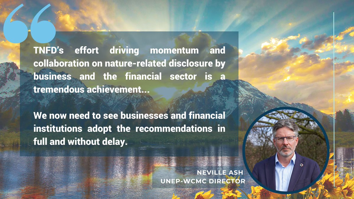 🚀The highly anticipated #TNFD recommendations have now been launched! UNEP-WCMC is proud to have worked with @TNFD_ during the development of its reporting framework to help the private sector assess, report & act #ForNature 🌿 Read our response ➡️tinyurl.com/6dzfzwb8