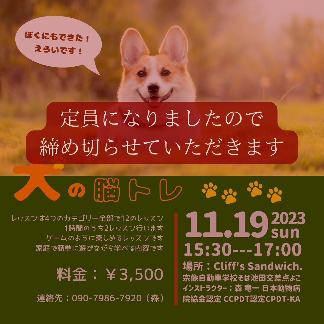 CliffCannel's tweet image. 📣 お知らせ 📣  
11月のご予約は🔒定員に達しました🔒 皆様、ありがとうございます🙏✨

でも、待って‼️ 10月はまだ2席🪑🪑空いています🎉 お早めにご予約を📞💕

#CliffsSandwich #ILoveComputing #福岡 #宗像市 #カフェ #パソコン店 #ドッグラン #犬連れOK 🐾🐶

お待ちしております🌟