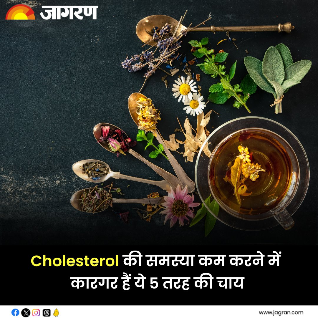 Cholesterol की समस्या कम करने में कारगर हैं ये 5 तरह की चाय, आज ही करें डाइट में शामिल - bit.ly/3EKeWw4

#CholesterolControl #Cholesterol #HealthyDiet #CholesterolReducingTea #HeartHealth