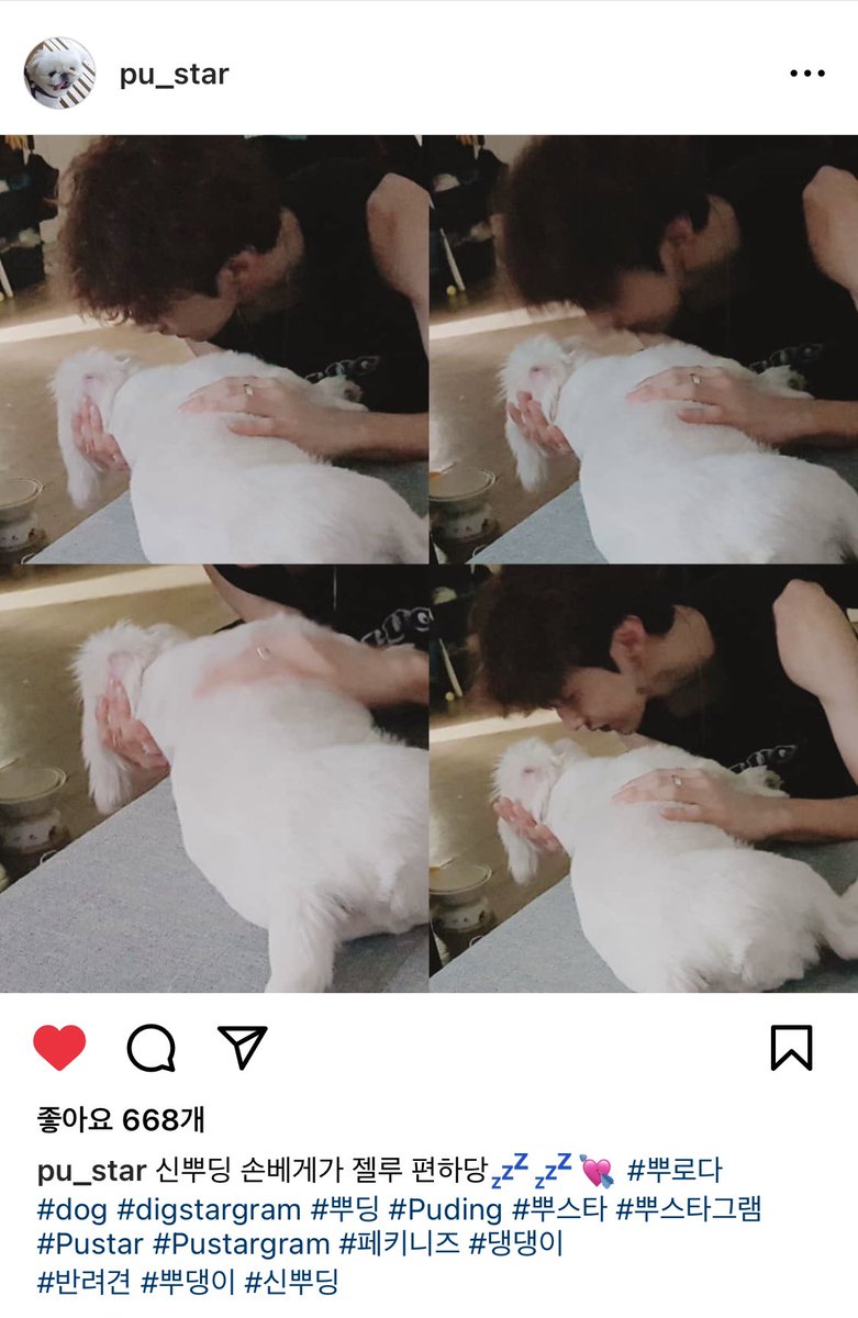 hi_saeon's tweet photo. 180919 pu_star 행복한 뿌스타그램
신뿌딩 손베게가 젤루 편하당💤💤💘 #뿌로다
#dog #digstargram #뿌딩 #Puding #뿌스타 #뿌스타그램 #Pustar #Pustargram #페키니즈 #댕댕이
#반려견 #뿌댕이 #신뿌딩
https://t.co/wdMO6PVgpy https://t.co/84Dmi2OQUs