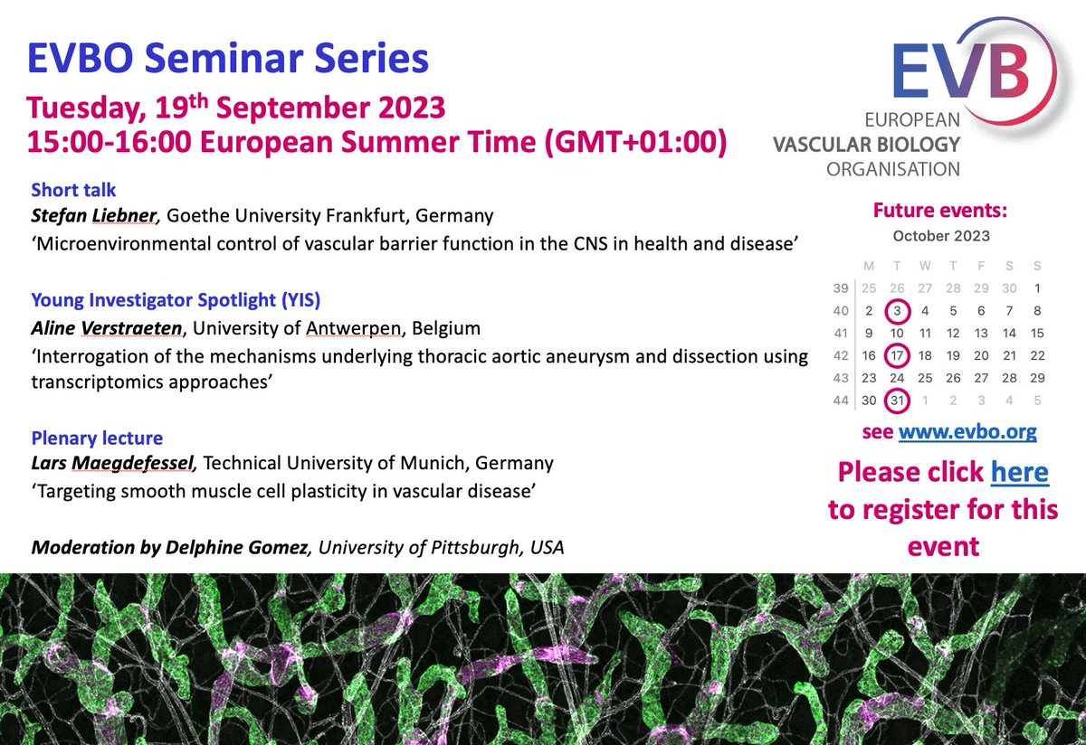 EVB_Org's tweet photo. Happening TODAY!  #EVBOSeminarSeries Moderated by Delphine Gomez. Speakers: Stefan Liebner, @verstraeten_a, and @LarsMaeg ⏰When: When: Tuesday, 19th September 2023. Place: online. See you there! For registration https://t.co/u5AkkrpEVJ https://t.co/T2uGqZdQJF