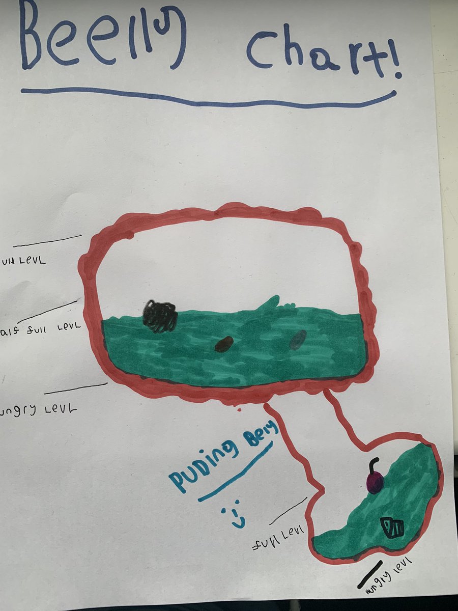 Just in case you were wondering, here is an anatomical drawing of the belly to demonstrate how it is possible to be full of dinner, and yet have space for pudding in the ‘pudding belly’ appendage. By Fred, age 7. #anatomyandphysiology #NurseTwitter