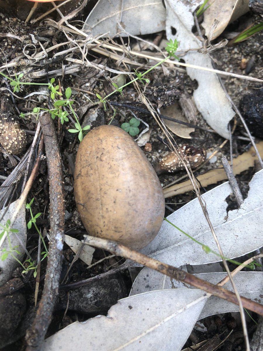 Ashley Jenkin tweet media