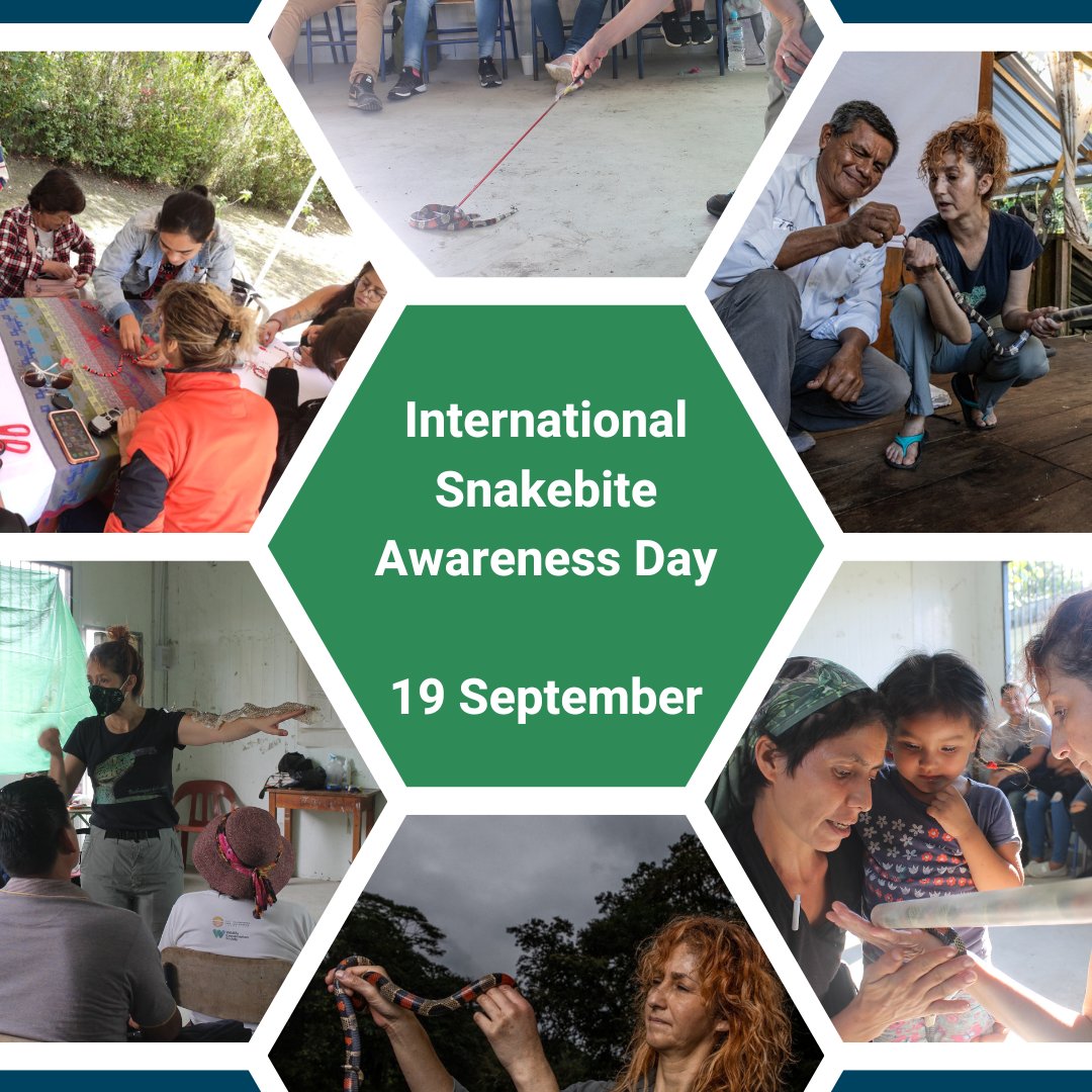 It's International Snakebite Awareness Day! To mark the occasion, Snakebite Community Engagement Network member, María Elena Barragán-Paladines, writes about a unique approach to reaching snakebite affected communities in 🇪🇨 via art. Read more: haiweb.org/reaching-snake… #ISBAD23
