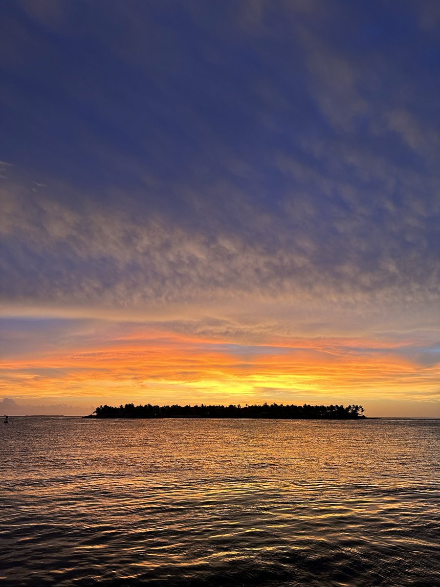 Good night… #keywest #sunset #mallorysquare