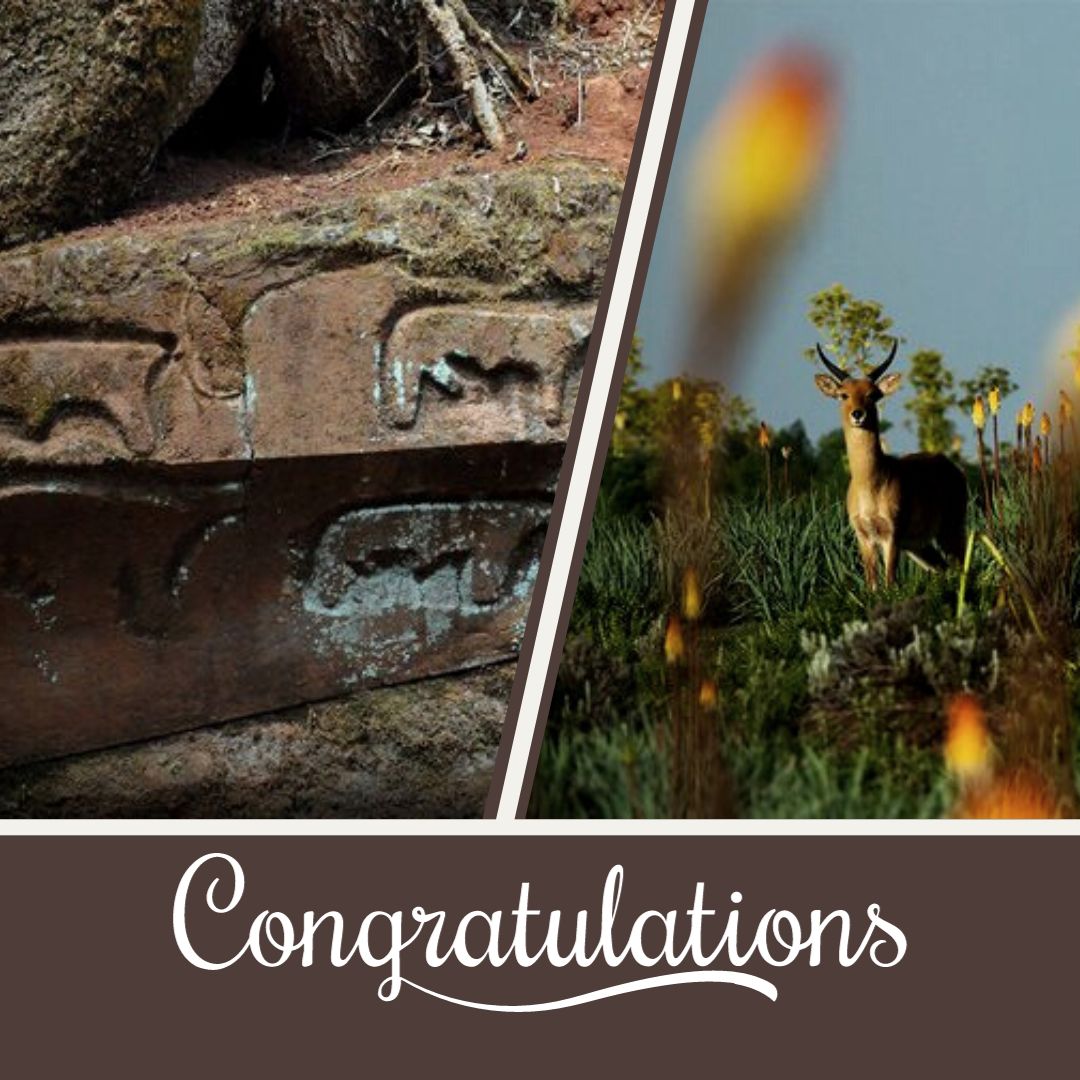 Congratulations Ethiopia! UNSECO has put Bale Mountain and the Gedeo cultural landscape on the #worldheritage list! UNESCO World Heritage Sites have outstanding universal value to humanity and need to be protected for future generations to appreciate and enjoy. #BaleMountain