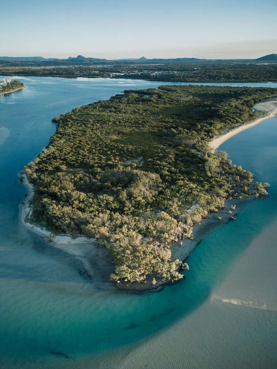 There's the bustling food-scene, plaza and humming nightlife side to #Maroochydore, and then there's this: the earthy, deep blue river and sandbanks teeming with silvery mullet, bream and whiting 🐟 💙 That's the beauty of the #SunshineCoast. 📷: @demigavin