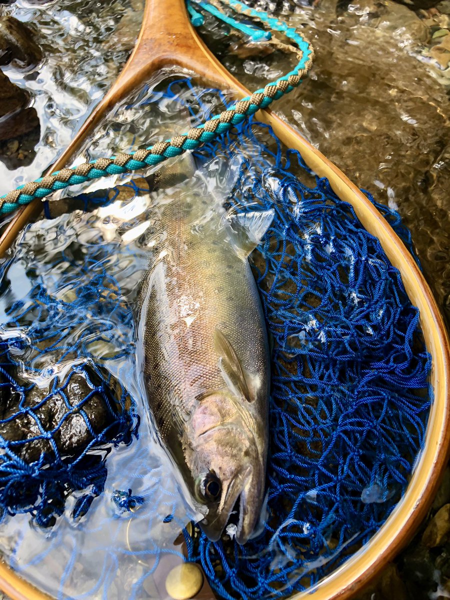 hirokunhanter's tweet photo. 昨日ちょい朝釣行。時間がないので近所の里川に行って来ました。
あと何回行けるかなー。
#岩手内陸河川
#kawatonbo https://t.co/SYgQMcs5nP
