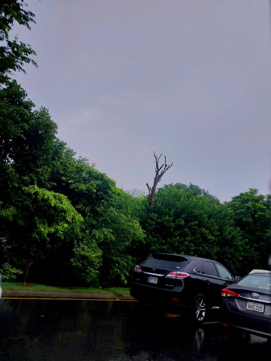 shoukat_s's tweet photo. The vibe of the weather today!💙
#Lahore https://t.co/RLLEzJo1ob