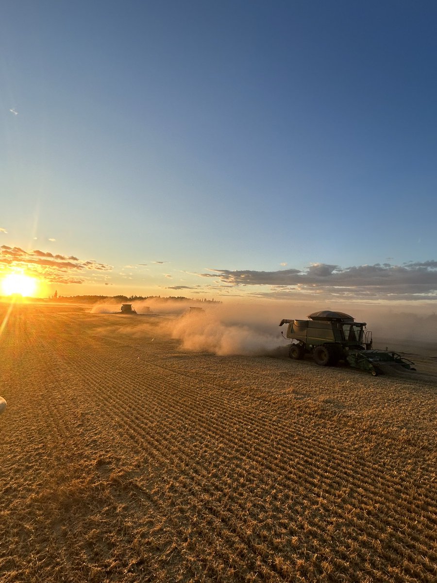 Beautiful sunset while finishing off the Wheat!