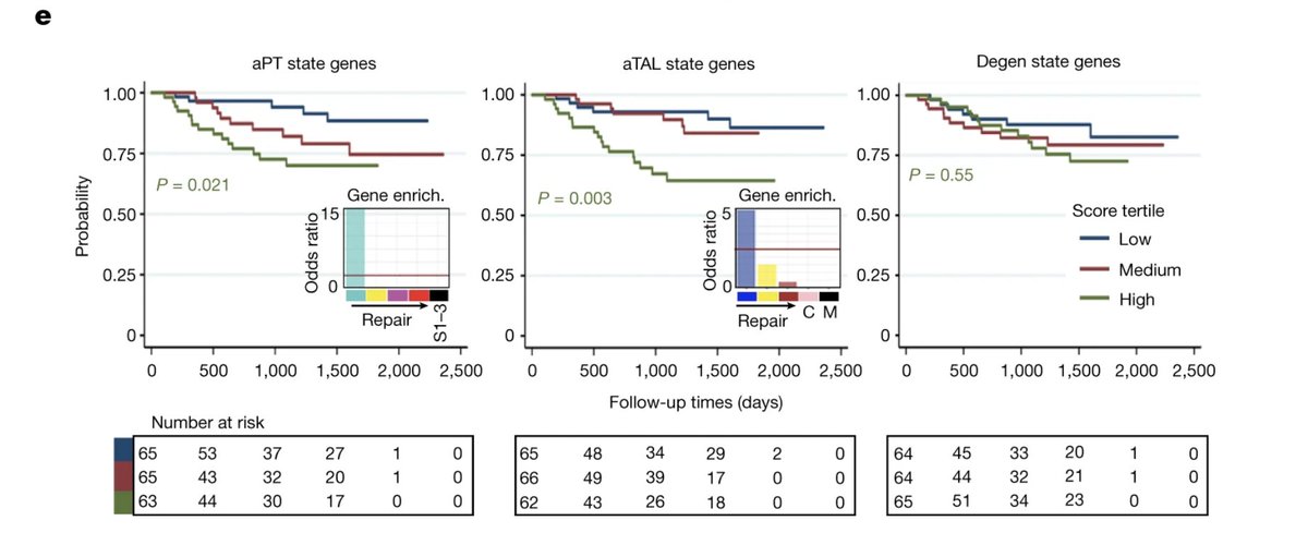 Nephrology Journal Club tweet media