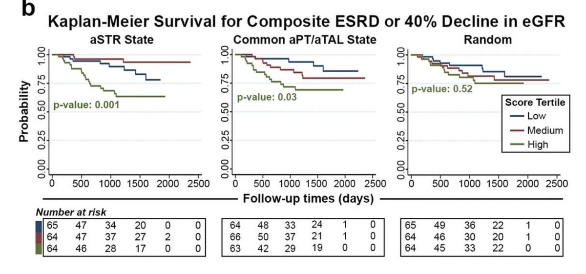Nephrology Journal Club tweet media