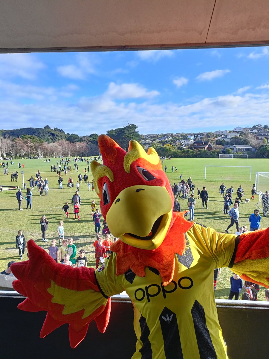 Nixie's Blog - September! 🤩

I was out and about at <a href="/western_subs_fc/">Western Suburbs FC</a> a few weekends back! 

Read all about my adventures in September!

📖 | tinyurl.com/4tyhfkt2

💛🖤