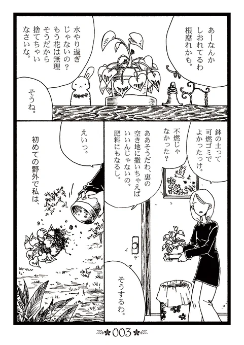 今日はこれがよく見られているそうでありがとうございます。野良観葉植物。 (1/4) 