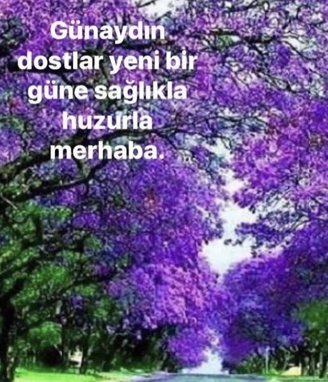 Ali Sevimlisoy (@sevimlisoyali) on Twitter photo 