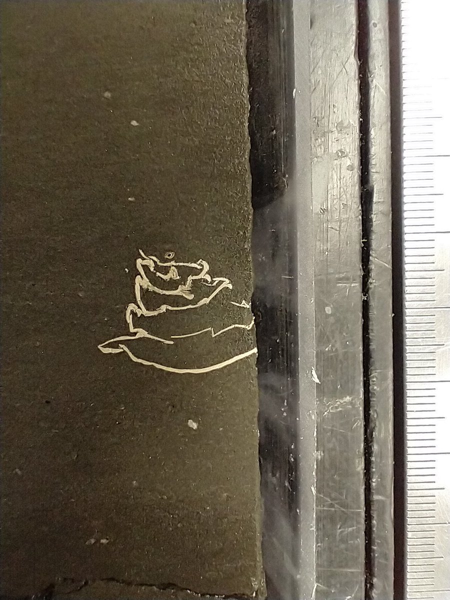 PaleoGeochemist's tweet photo. Happy day today @TheJR ! #exp400 is bringing back fossils shell! Bivalve, gasteropod, even benthic forams... #geochemistry, #paleoceanography! https://t.co/IVwM5CwFXD