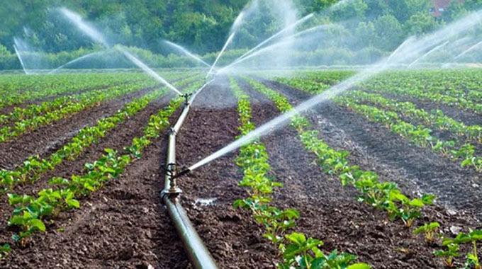 More than 116 760 hectares have so far been put under irrigated tobacco compared to 106 349 hectares last year, as early planting is progressing well with farmers determined to push up production #WalkingtheTalk @edmnangagwa  @Mug2155 @Twinsis50497431 
@DhliwayoCandy @DadlynM