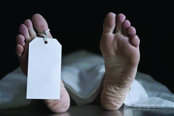RisingKashmir's tweet photo. #Man #dies after falling from #walnuttree in #Budgam
Reports @Arifrashid0
@BudgamPolice
https://t.co/aywErarSn8 https://t.co/U97juRdE0o