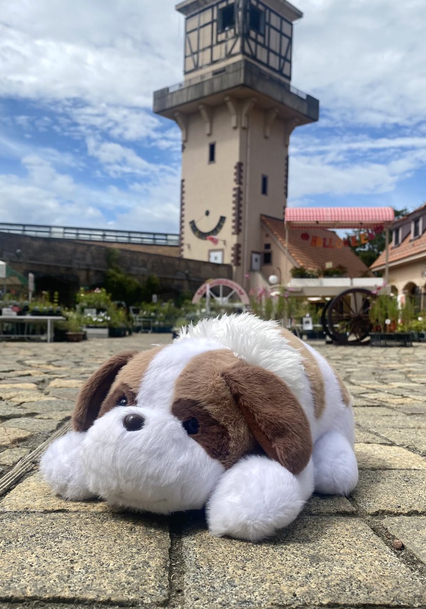 ユキちゃん&ヨーゼフ in ハイジの村⛰️