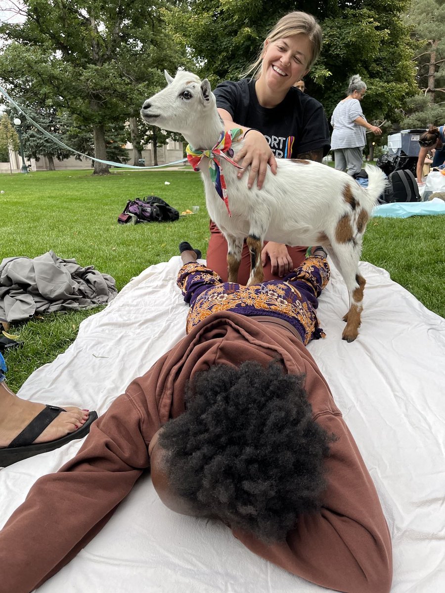 AidMonday's tweet photo. This about sums up the awesomeness of MutualAidMonday Spa Night.  We had massage therapy and sometimes goat therapy at the same time! Thank you to all of our volunteers! https://t.co/fjYLQQdruM