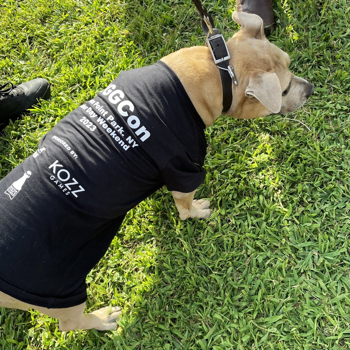 Kozz Games (@kozz) on Twitter photo 