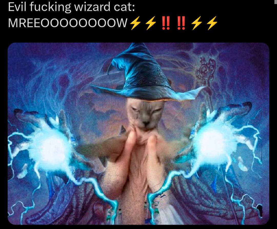 NsAsoc's tweet image. I don't know but look at this cat Pic
It goes hard