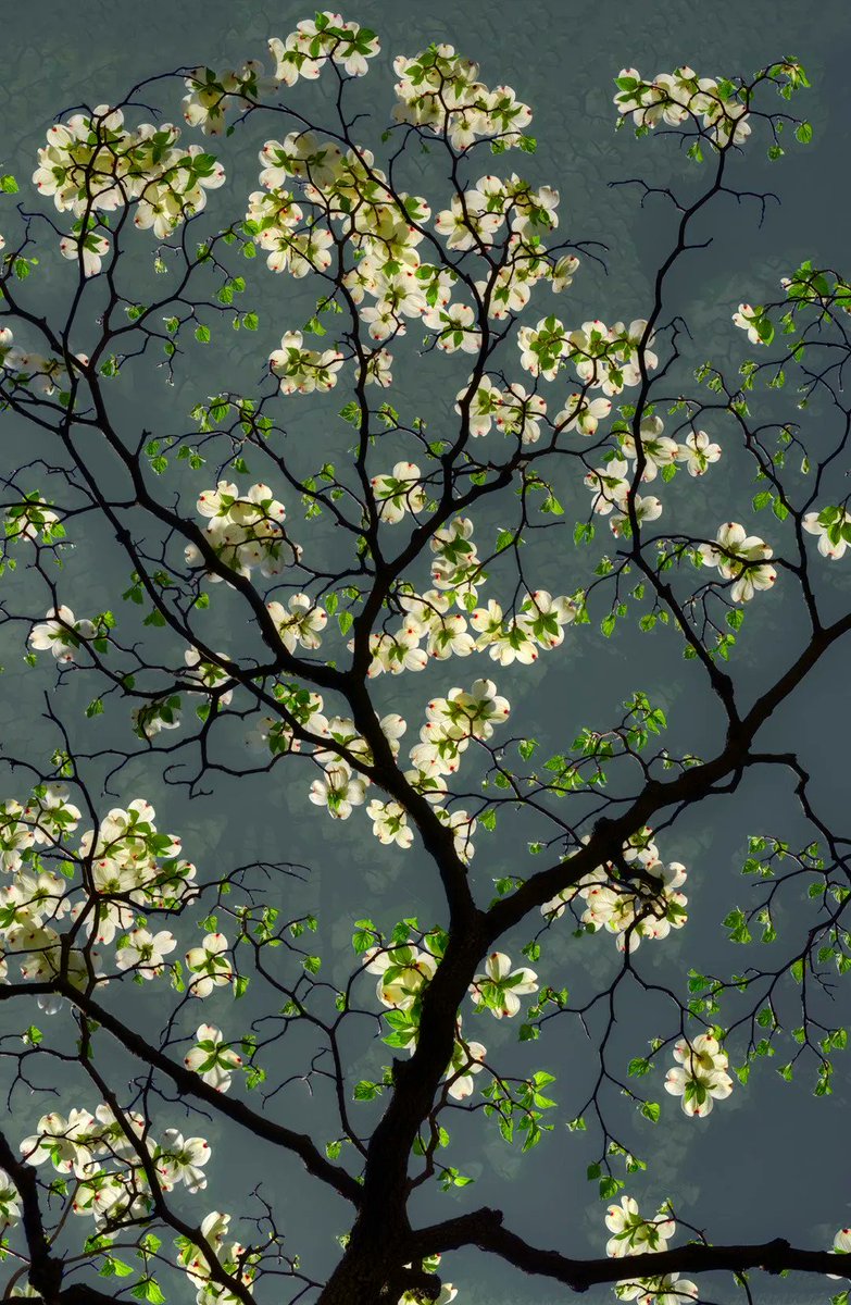 by Bruce Lewis